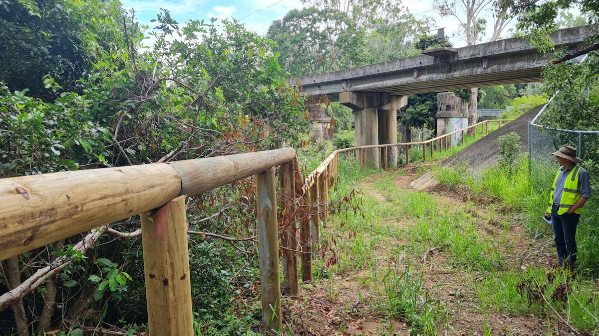 Road plans to help save wildlife